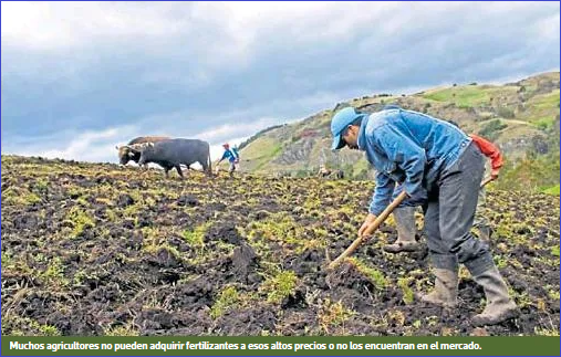 Crisis de los fertilizantes: la agricultura peruana en sus días más críticos