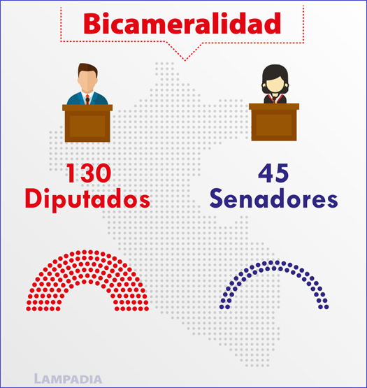 Observaciones al dictamen sobre bicameralidad