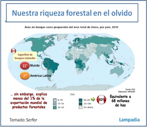 Madera: Fabulosa reserva productiva