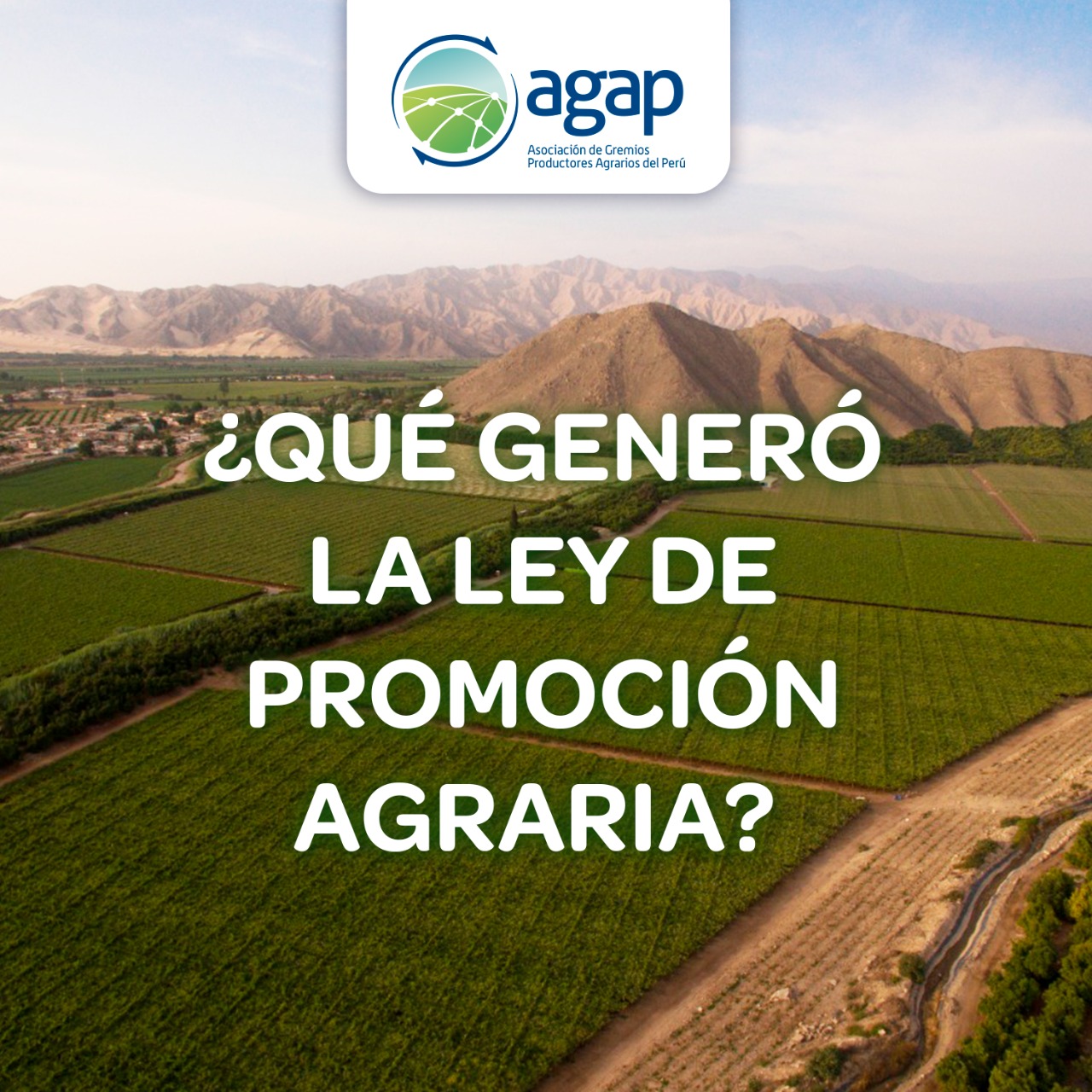 ¿Qué generó la Ley de Promoción Agraria?