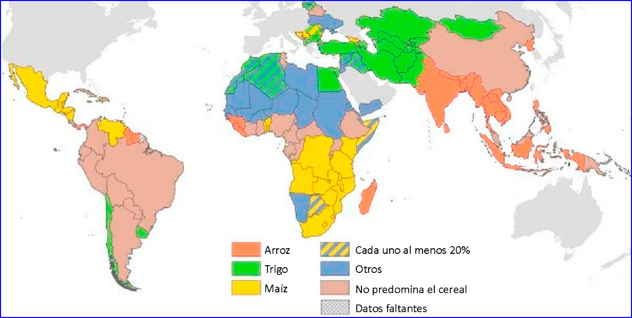La agricultura de hoy en el mundo Lampadia Antorcha informativa