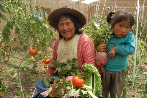 Sierra Productiva en Cajamarca