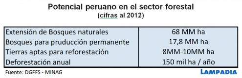 ¿Cómo impulsar el desarrollo en la selva?