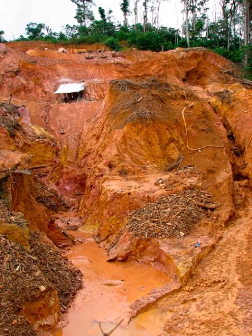 Por una minería libre de mercurio