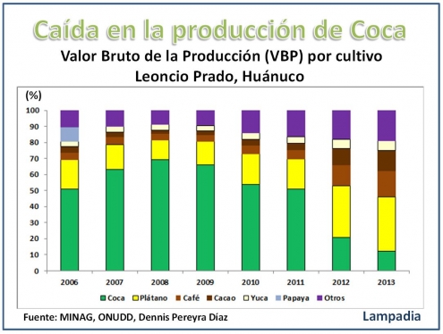 Cae producción de coca en el Alto Huallaga