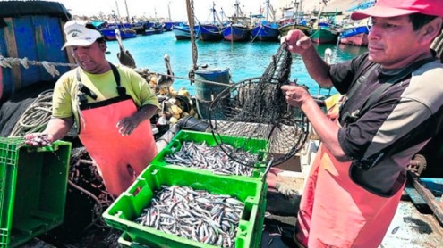 Poder Judicial suspendió Decreto 005 que reordena la pesca