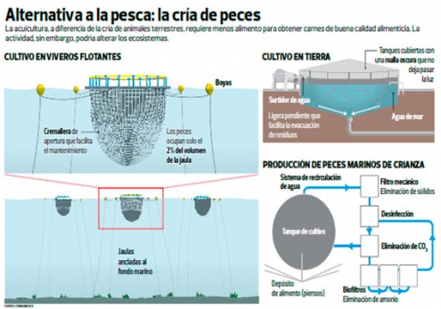 Acuicultura: enfrentando el futuro