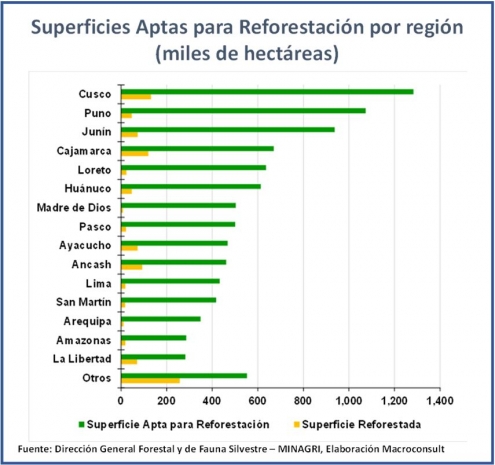 Un nuevo impulso al sector forestal peruano