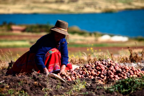 Legado natural y cultural debe ser puesto en valor