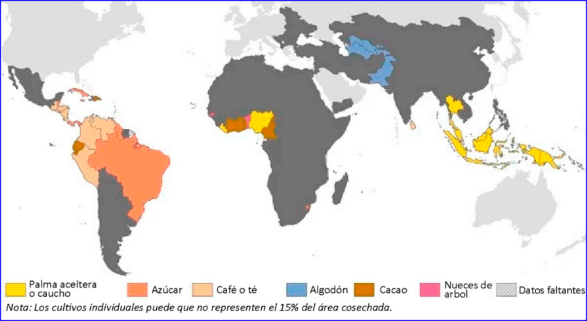 La agricultura de hoy en el mundo Lampadia Antorcha informativa