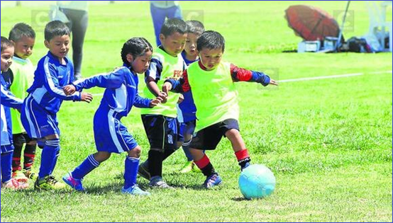 Gestión profesional y competitividad del Fútbol