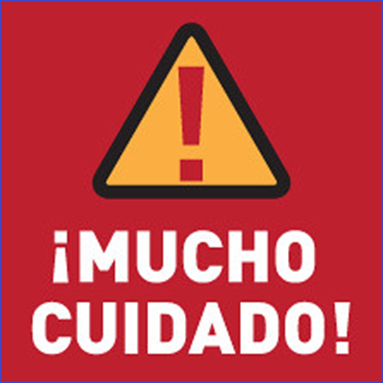 ¿Premio al plagio y a la complicidad?