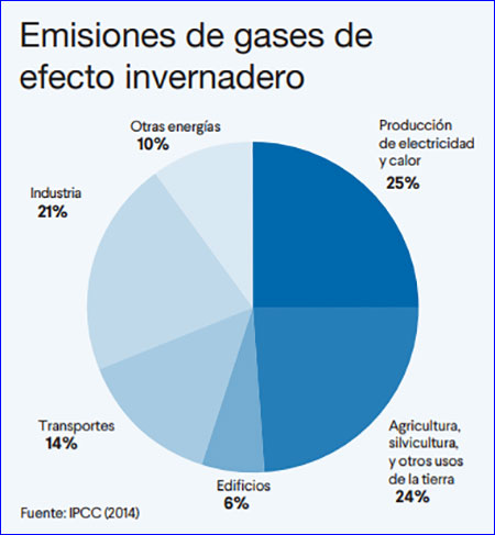 Las gratas y no gratas sorpresas de la Fundación Gates en el 2018