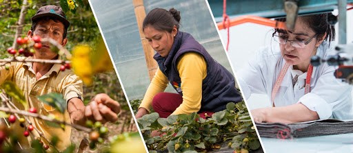 El Perú tendrá la oportunidad de crecer con una reactivación eficiente