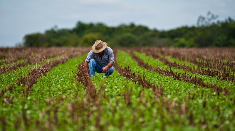 La agricultura de hoy en el mundo