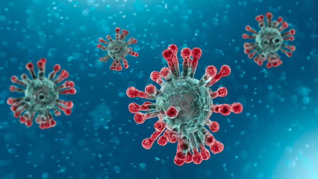 La búsqueda de una vacuna al coronavirus