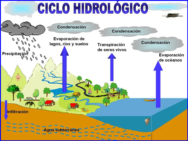 En Ica tenemos agua dulce y en el Perú también