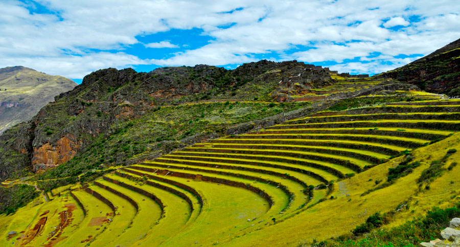 Andenes Pisac