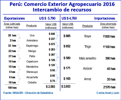 Pretenden destruir una joya regada por millones de peruanos