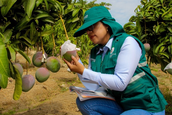 Otro complot contra la agroexportación