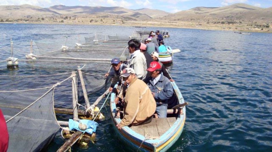 Impulso para la acuicultura, aunque pudo ser mejor