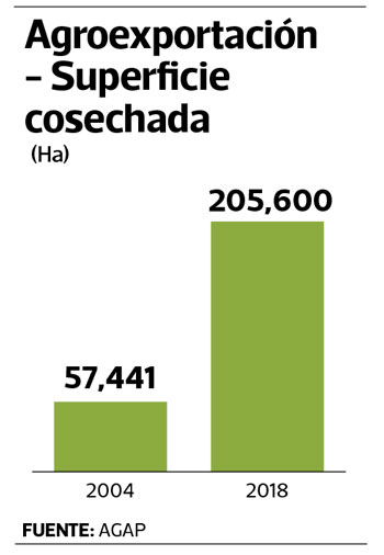 “Tenemos proyectos de inversiones privadas por US$ 3,800 millones entre el 2020 y el 2022”