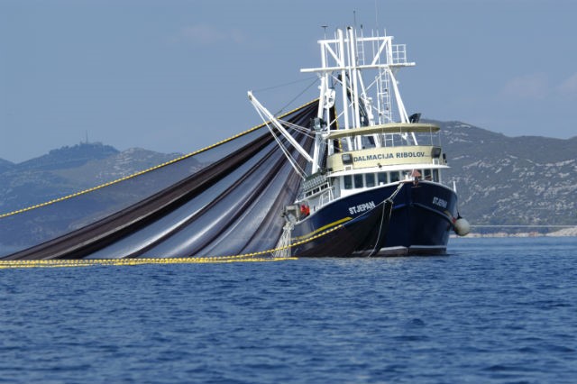 El sector pesquero debiera ser un aliado para salir de la crisis