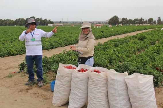 Mentiras y falacias contra el régimen agrario