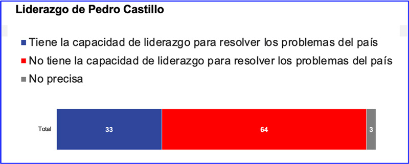 Liderazgo, designaciones y enfoque