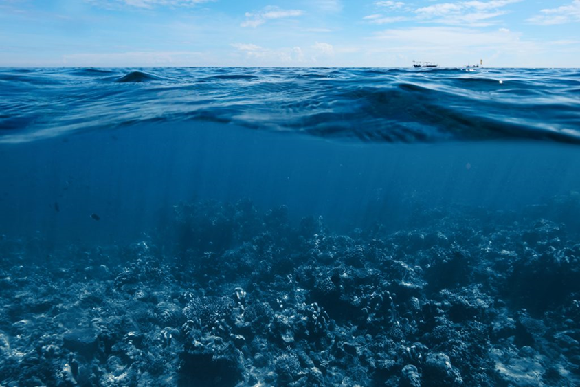 ¿Qué hay debajo de nuestros mares?