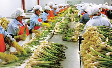 La agricultura peruana tiene un gran futuro
