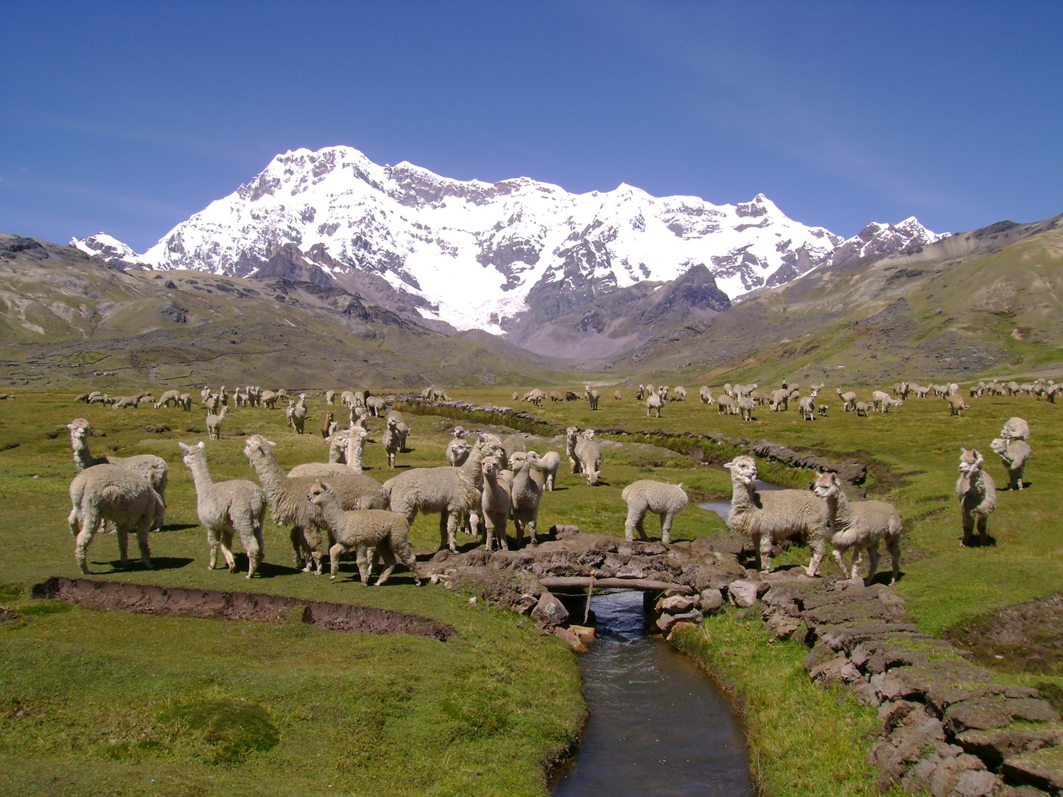 El Perú ‘real’ que muchos no quieren ver