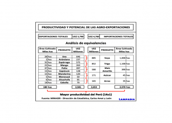 ¿Cuál es el futuro del Perú?