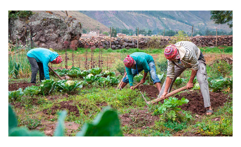 Pero la ciudad consume cada vez menos