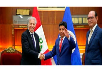 El Presidente Castillo y la democracia en el Perú