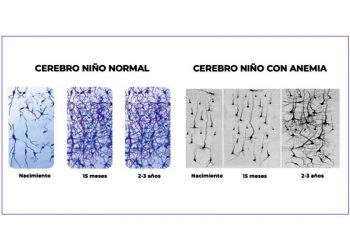 El círculo vicioso del Perú