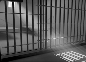 Los cómplices de la mafia