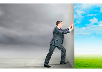 El pollo desprevenido