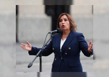 Un gobierno pusilánime