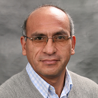 Carta abierta a los “constituyente lovers”