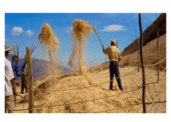 Lo bueno, lo malo y lo feo