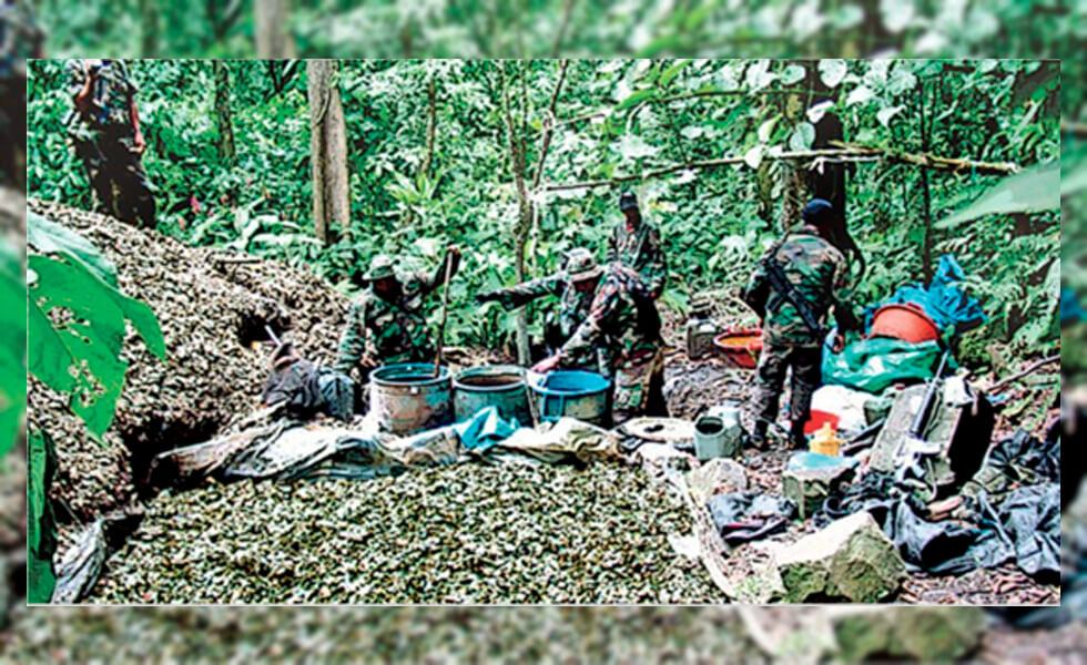 El narcotráfico creciente y desestabilizador