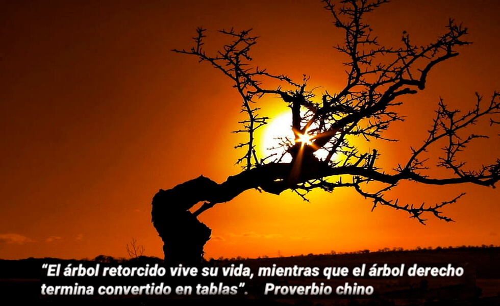 Se dobla, pero no se rompe