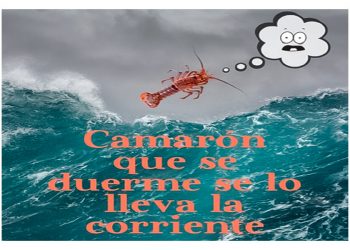 El sueño perverso