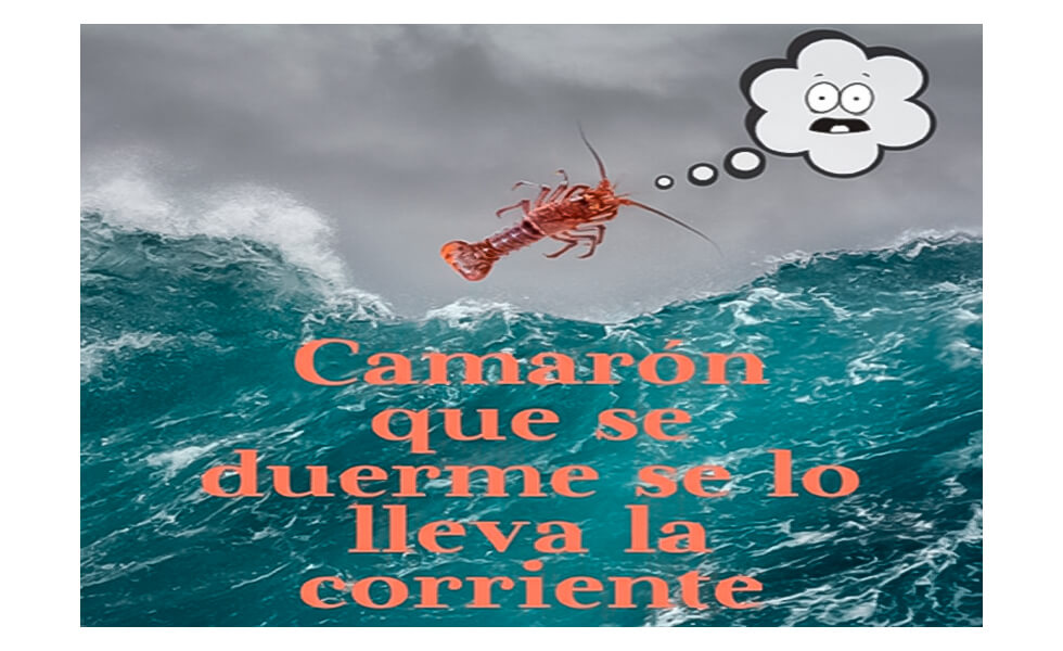 El sueño perverso