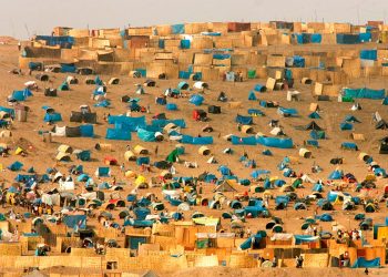 Los turbios negocios del tráfico de terrenos