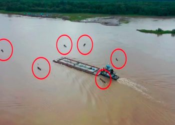 Oportunidades Minero-Energéticas del Perú (14)