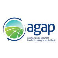 Afirmaciones de la Vicegobernadora de Ica contra sector agrario son sesgadas