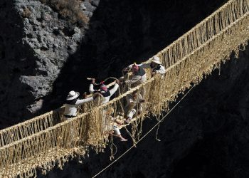 La unión hace la fuerza