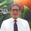 Sergio del Castillo